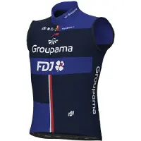 ALÉ Prime Groupama Fdj 2024 Väst