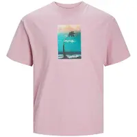 Jack & Jones Vesterbro Picture T-shirt Med Korta ärmar