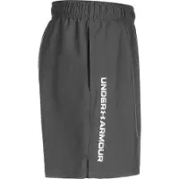Under Armour Woven Wordmark Shorts