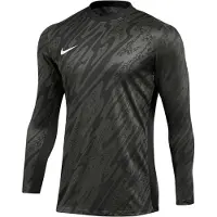 Nike Gardien V målvaktströja DF V FD7474-060