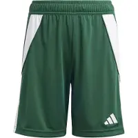 Adidas Shorts - Tiro24 SHO Y - Grön/Vit - - 16 år (176) - Shorts