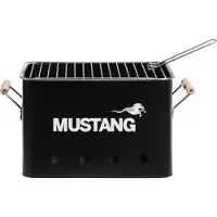 Mustang Kolgrill Party