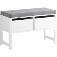 SoBuy Sittbänk med 2 lådor och dyna, skobänk med dyna, Förvaringsbox, FSR88-W