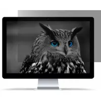 Natec Owl, 39,6 cm (15.6), 16:9, Bärbar dator, Privatfilter för ramlösa datorskärmar, Avskildhet