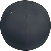 Leitz Active Antislip Sätesboll 65 Cm