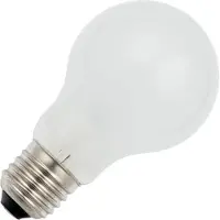 Schiefer Vindkraftslampa 40W E27 24V glödlampa matt