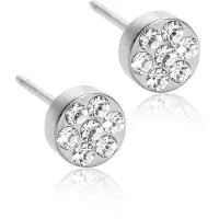 Blomdahl Brilliance Plenary Crystal örhängen 5mm 15-12166-01