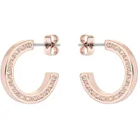Ted Baker Senatta roseguldfärgad hoops 06-TBJ2983-24-02