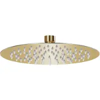vidaXL Takduschhuvud rostfritt stål 20 cm rund guld