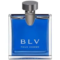 Bvlgari Kungsblå Herrparfym Träig Eau De Toilette 50ml/100ml Födelsedagspresent Till Pojkvän 100ml|Box Not Included Shopping Bag