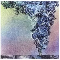 Ginza.se Gibson Daughn: Carnation