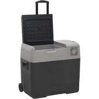 vidaXL Kylbox på Hjul, Med Strömadapter, Svart-Grå, 50 L, PP