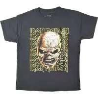 Ginza.se Iron Maiden: Kids T-Shirt/Big Trooper Head (Black) (11-12 Years)