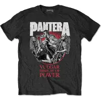 Ginza.se Pantera: Unisex T-Shirt/Vulgar Display of Power 30th (Black) (Small)