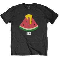 Ginza.se Lizzo: Unisex T-Shirt/Watermelon (Black) (X-Large)