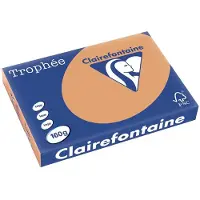 Clairefontaine 160g A3 papper | karamell | 1109PC | 250 ark