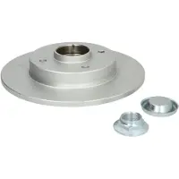 Delphi Bromsskiva BG9022RSC bak, full, 1 Stycke