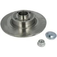Delphi Bromsskiva BG9032RS bak, full, 1 Stycke
