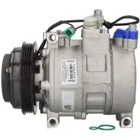 Delphi Kompressor, luftkonditionering TSP0159333