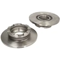 Delphi Bromsskivor BG4673 bak, full, 2 Stycke