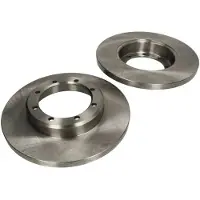 Delphi Bromsskivor BG4344 bak, full, 2 Stycke