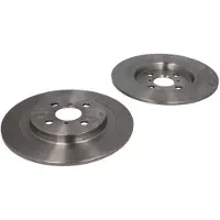 Delphi Bromsskivor BG4076 bak, full, 2 Stycke