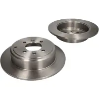 Delphi Bromsskivor BG2873 bak, full, 2 Stycke