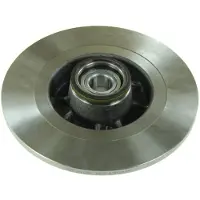 Delphi Bromsskiva BG9030RS bak, full, 1 Stycke