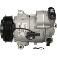 Delphi Kompressor, luftkonditionering TSP0155990