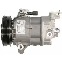 Delphi Kompressor, luftkonditionering TSP0155927