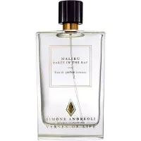 Simone Andreoli Malibù Party in the Bay Eau de Parfum 100 ml