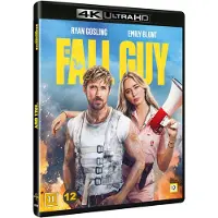 The Fall Guy