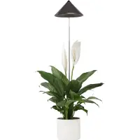 Venso LED-planteringslampa SUNLiTE LED fast installerad 7 W Neutralvit 1 st