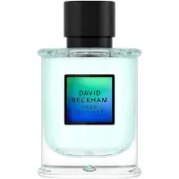 David Beckham True Instinct Eau de Parfum Spray
