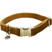 Kentucky Velvet Hundhalsband