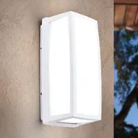 Orion LED utomhus vägglampa Bob, Vitt / opal, Aluminium / grå / zink, Modern, LED-vägglampa utomhus