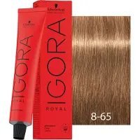 Schwarzkopf Professional Igora Royal Chocolates 60 ml 8-65 Light Blonde Chocolate Gold