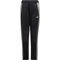 Adidas Tiro 24 Winterized Träningsbyxor