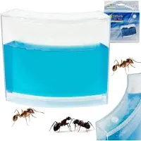 Pricenet Myrakvarium med Blå Gel - Studera Myrornas Beteende