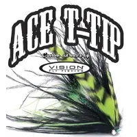 Vision Fly Fishing Vision T-Tip (Densitet/Längd: Sjunk 8 - 4,5m / 15ft)