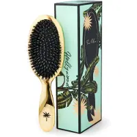 Fan Palm Hårborste - Medium - Hollywood - - One Size - Hårborste