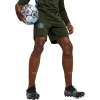 Puma Manchester City Träningsshorts - Grön/Blå - , storlek X-Small