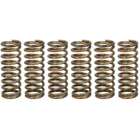 TRW Kopplingsfjäder set MEF341-6