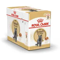 Royal Canin British Shorthair Adult våtfoder för katter till British Shorthair 12x85 g
