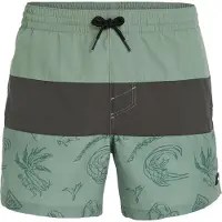 O'Neill Mix & Match Cali Block 15'' Boardshorts green vintage surfer Storlek S