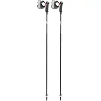 LEKI Carbon 12 3D alpina skidstavar