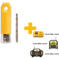 DeWalt Borr för metall DT5543-QZ; 4x43/75 mm