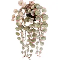 Mica Decorations Ceropegia Woodii Collar De Corazones Rosa Konstgjord Växt