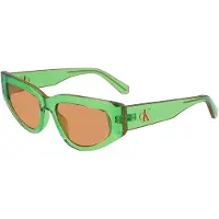 Calvin Klein Cat Eye Sunglasses