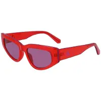 Calvin Klein Cat Eye Sunglasses
